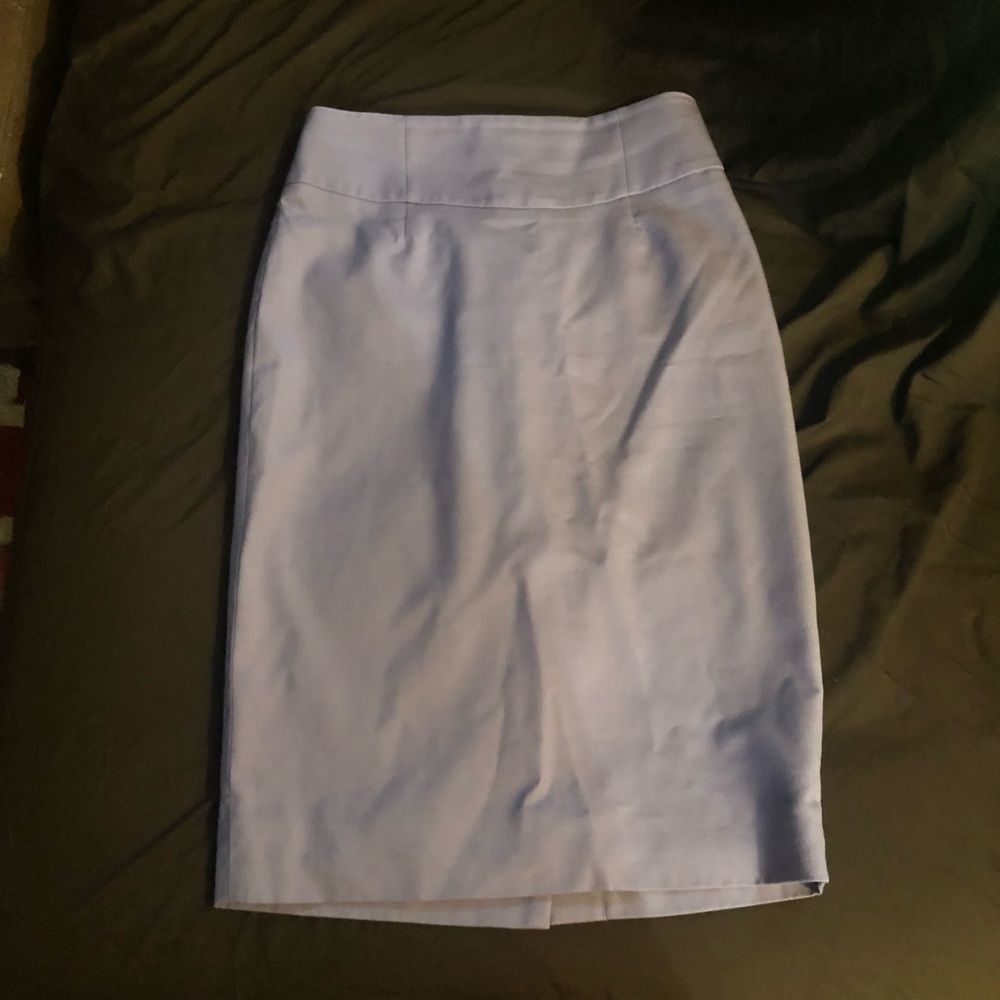 J. Crew Skirt